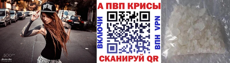 Альфа ПВП СК КРИС Белово