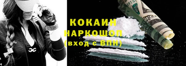 шишки Аркадак