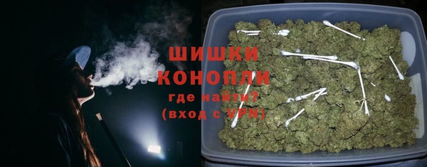 шишки Аркадак