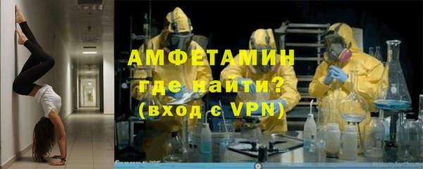 гидра Арсеньев