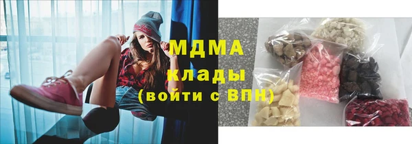 шишки Аркадак