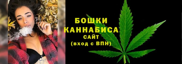 гидра Арсеньев