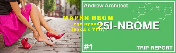 шишки Аркадак