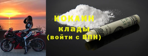 шишки Аркадак