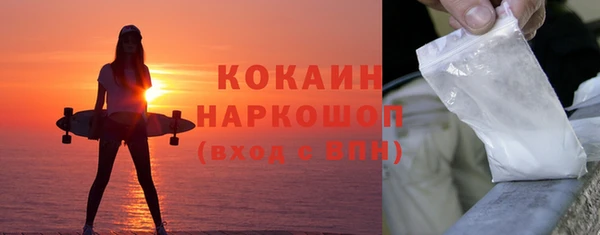 гидра Арсеньев