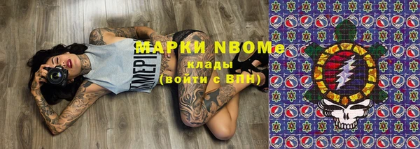 шишки Аркадак
