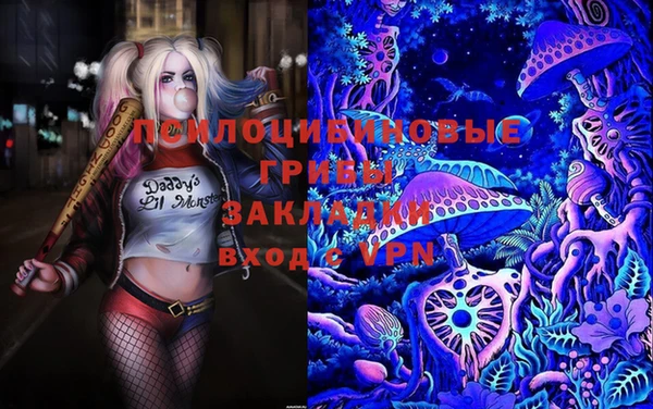 шишки Аркадак