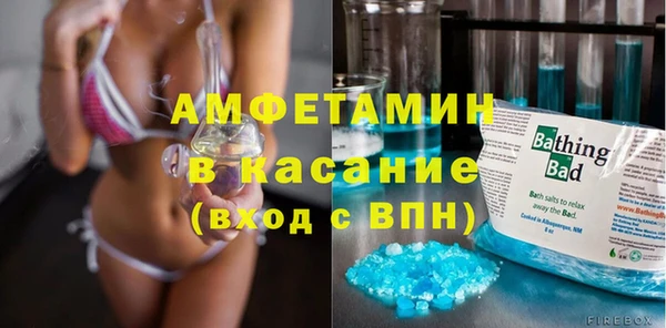 гидра Арсеньев
