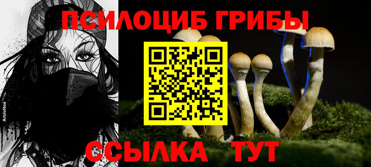 Псилоцибиновые грибы мухоморы Белово